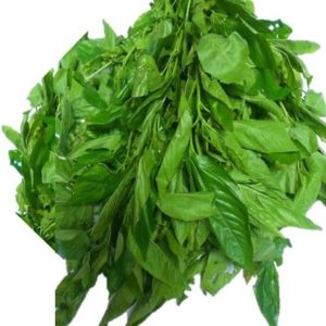 Ewedu (Jute Leaf)