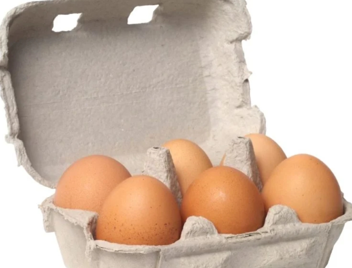 Egg(6in a pack)