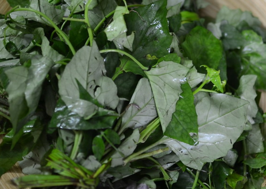 Worowo Leaves